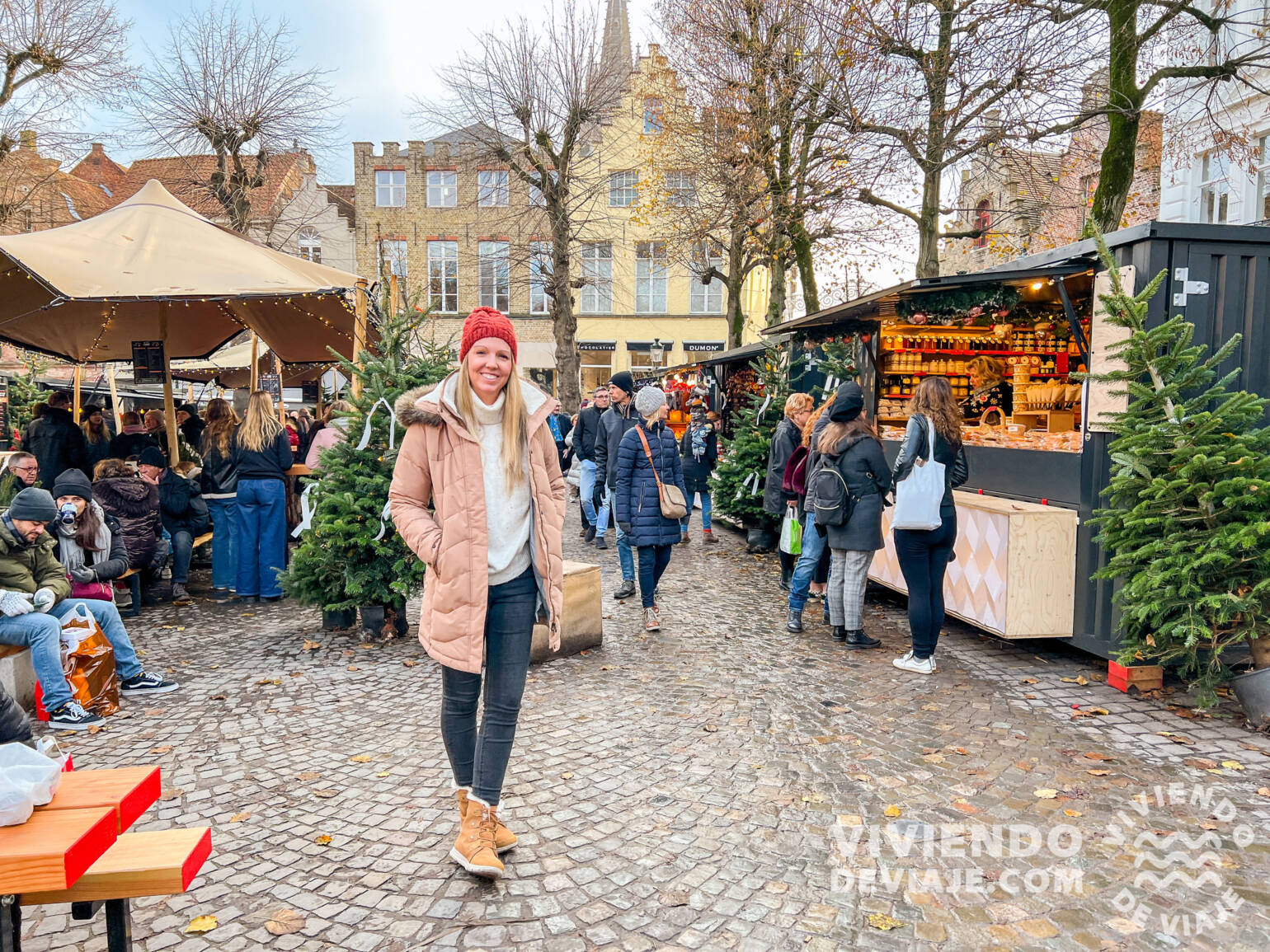 Mercado navideño en la plaza Simon Stevinplein | Brujas