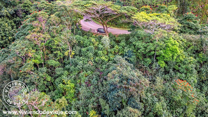Qué ver en Maui, la carretera de Hana