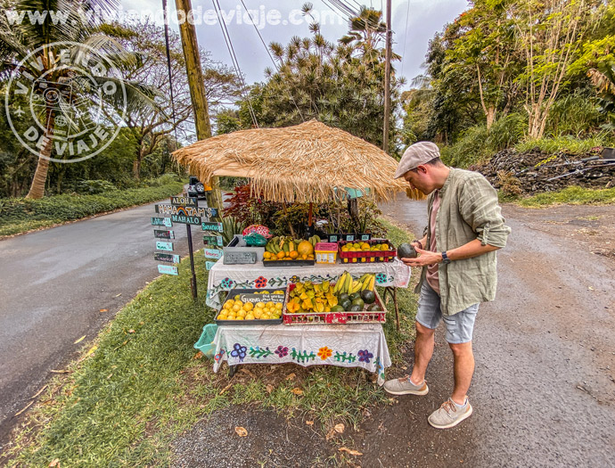 Puestos de fruta en la carretera de Hana
