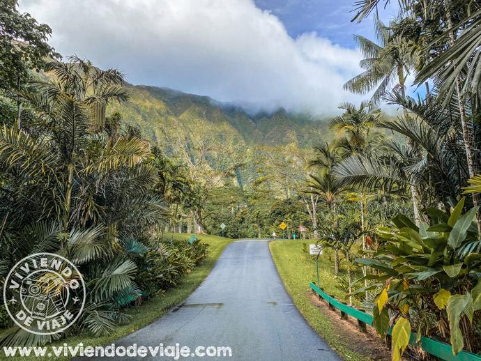 Jardín Botánico Ho'omaluhia en Oahu