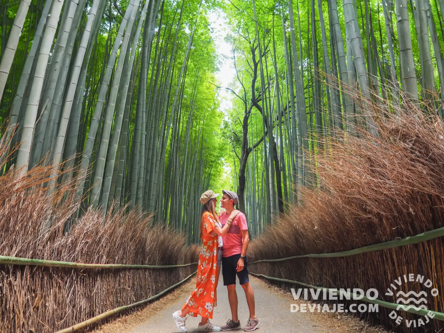Ventajas de la tarjeta eSIM para Japón