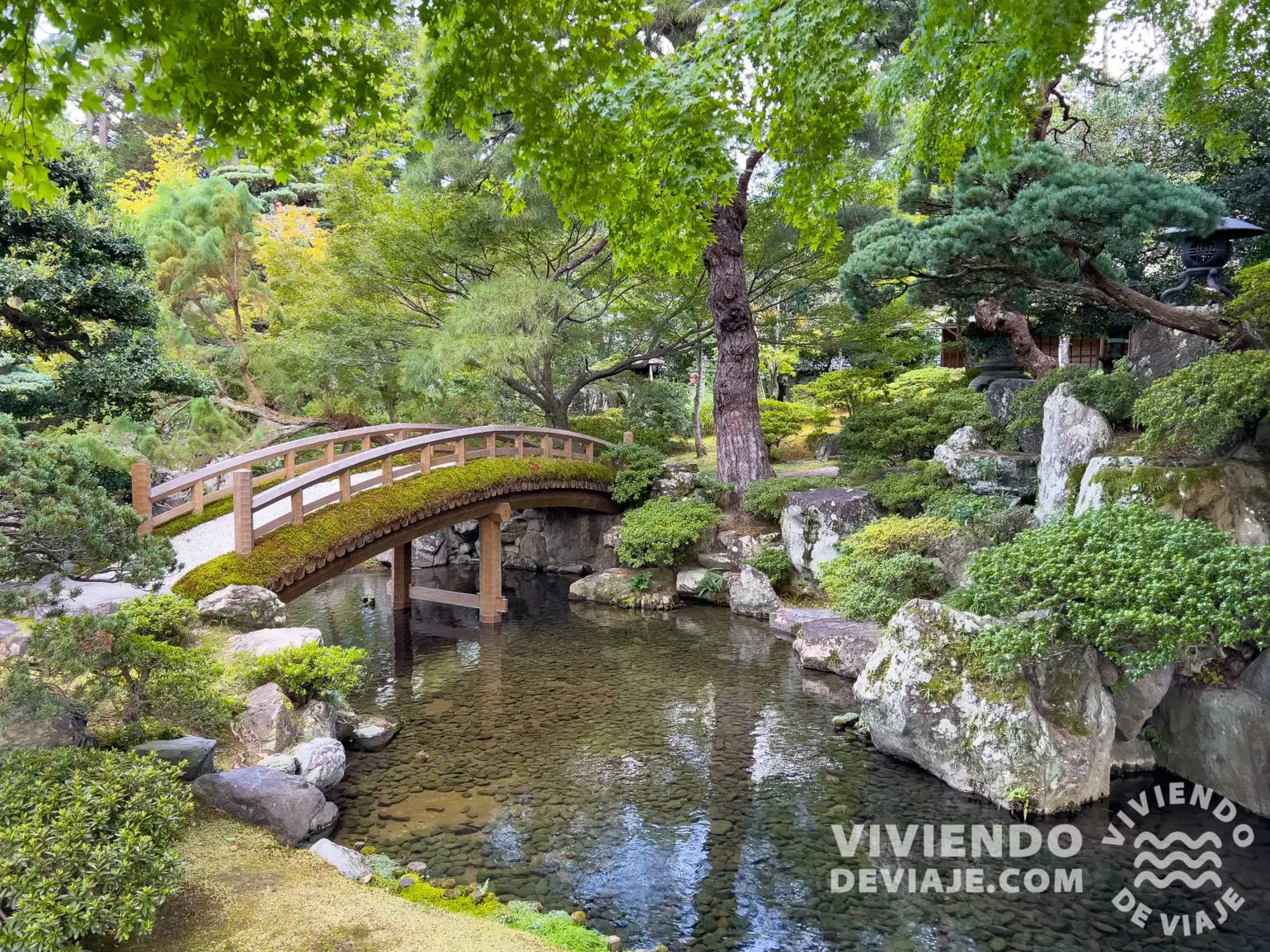 Zona de la estación de Omiya | Alojamiento en Kioto