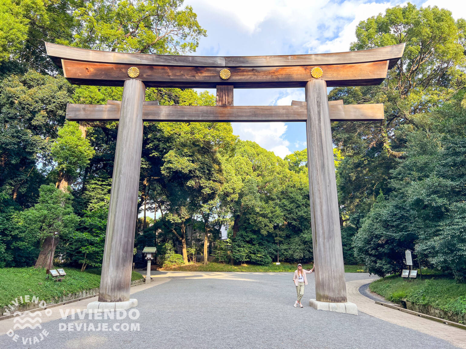 Mejores zonas donde alojarse en Tokio