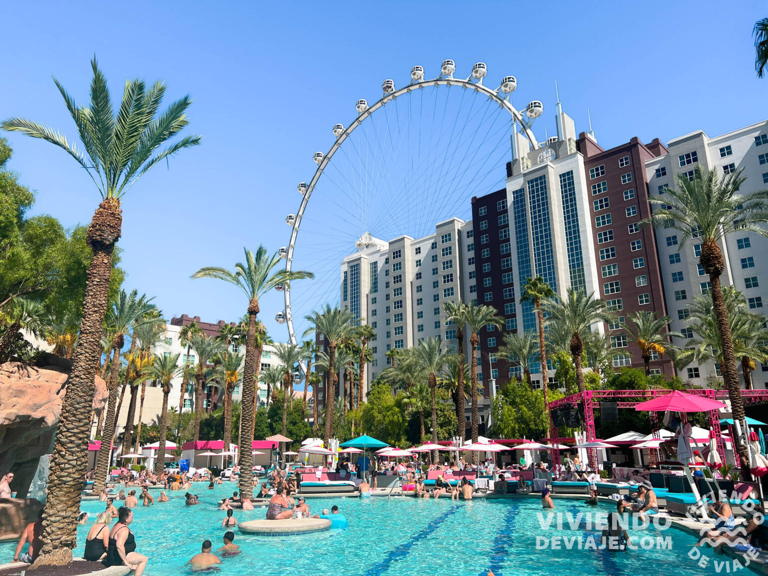 Piscina hotel Flamingo Las Vegas