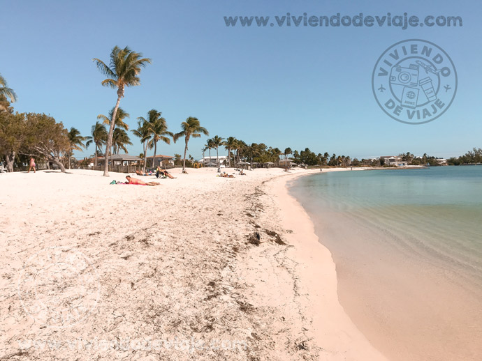 ¡Recorrer los Cayos de Florida! Excursión imprescindible en tu visita a Miami