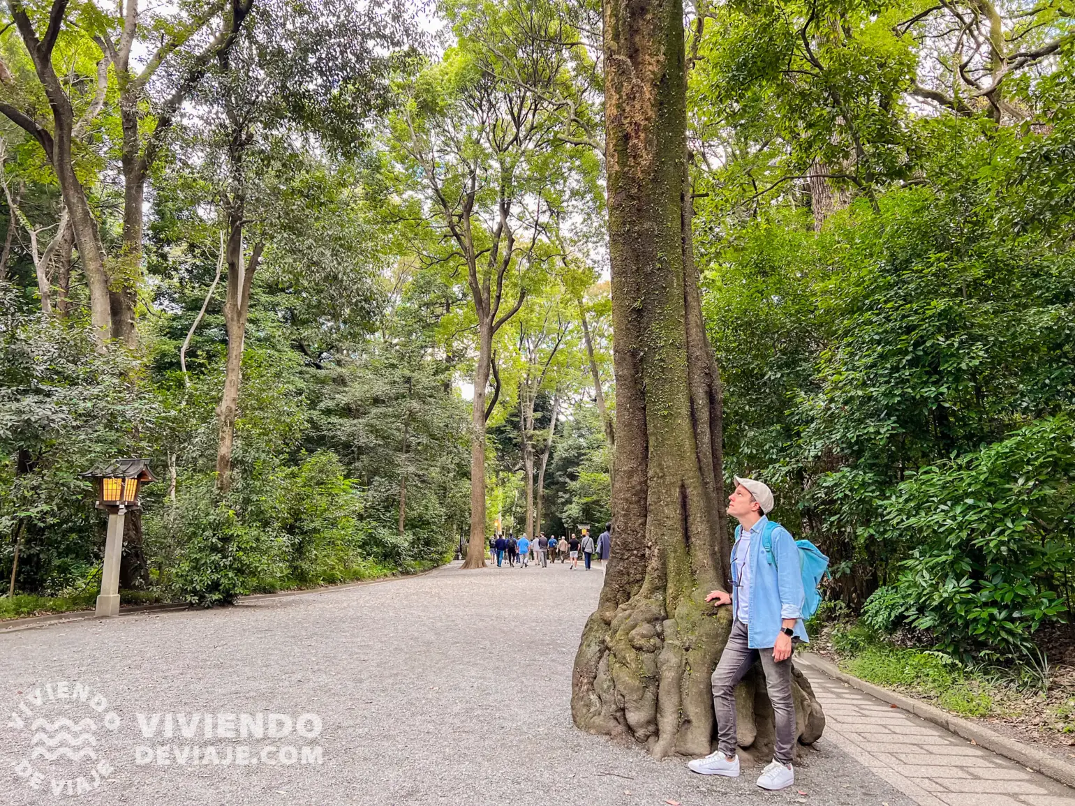 Santuario Meiji | Tokio en 3 días