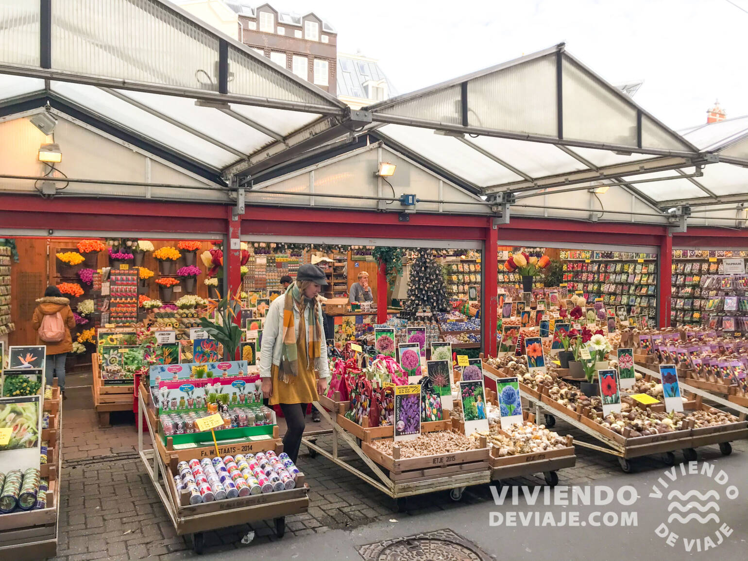 Mercado de las flores | Ámsterdam