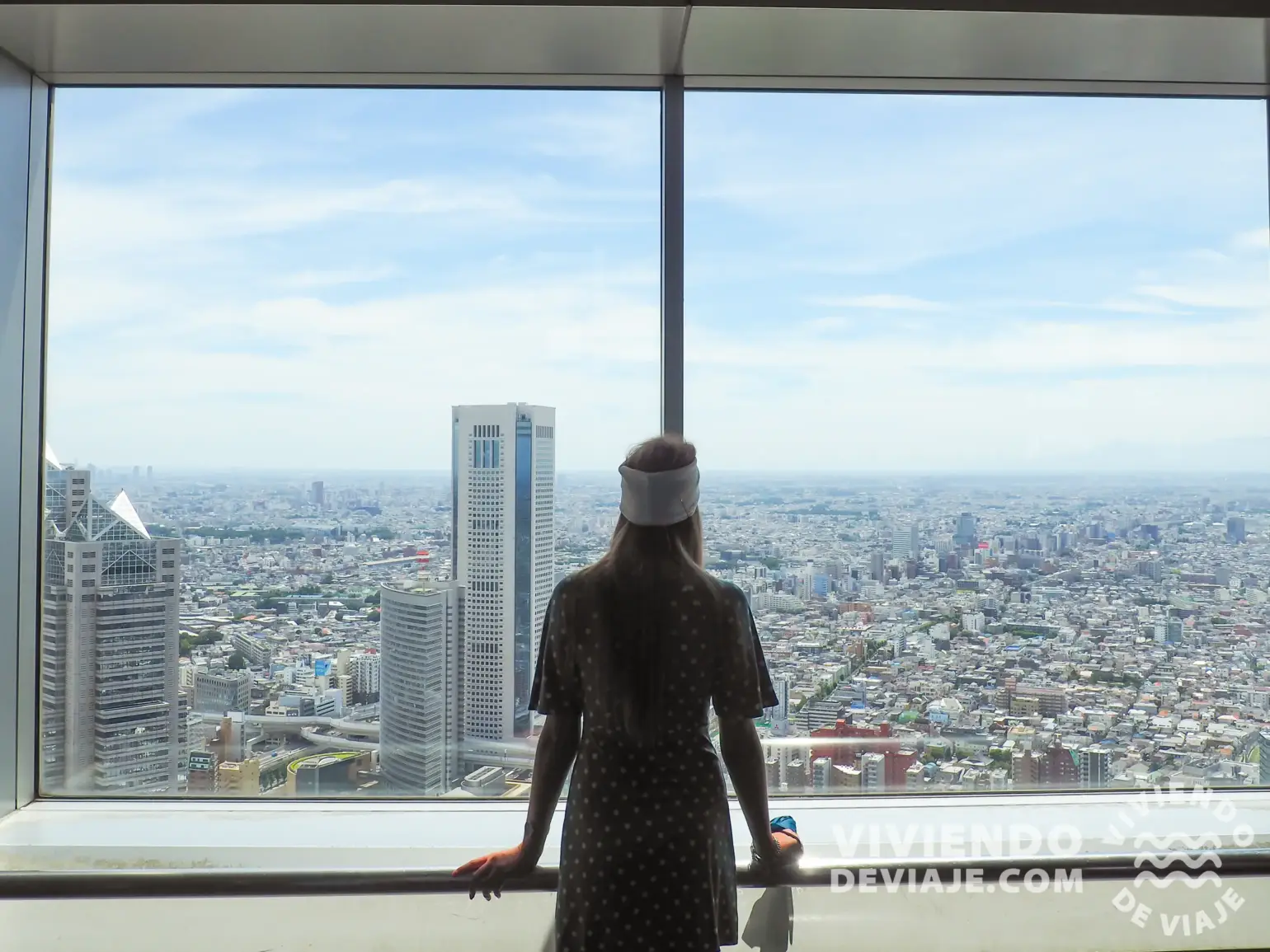 Vistas desde el Mirador del Gobierno Metropolitano de Tokio