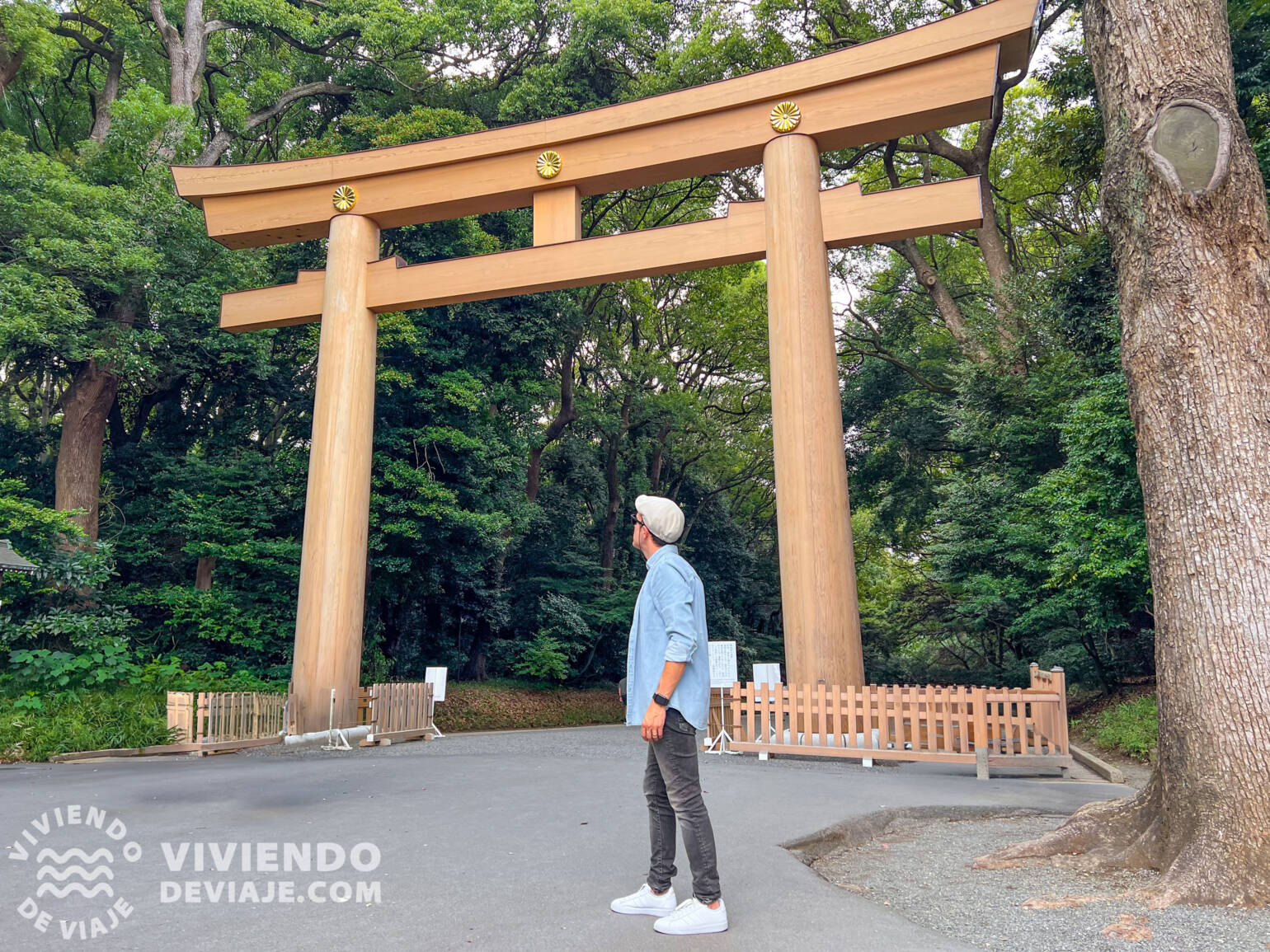 Tokio en 3 días