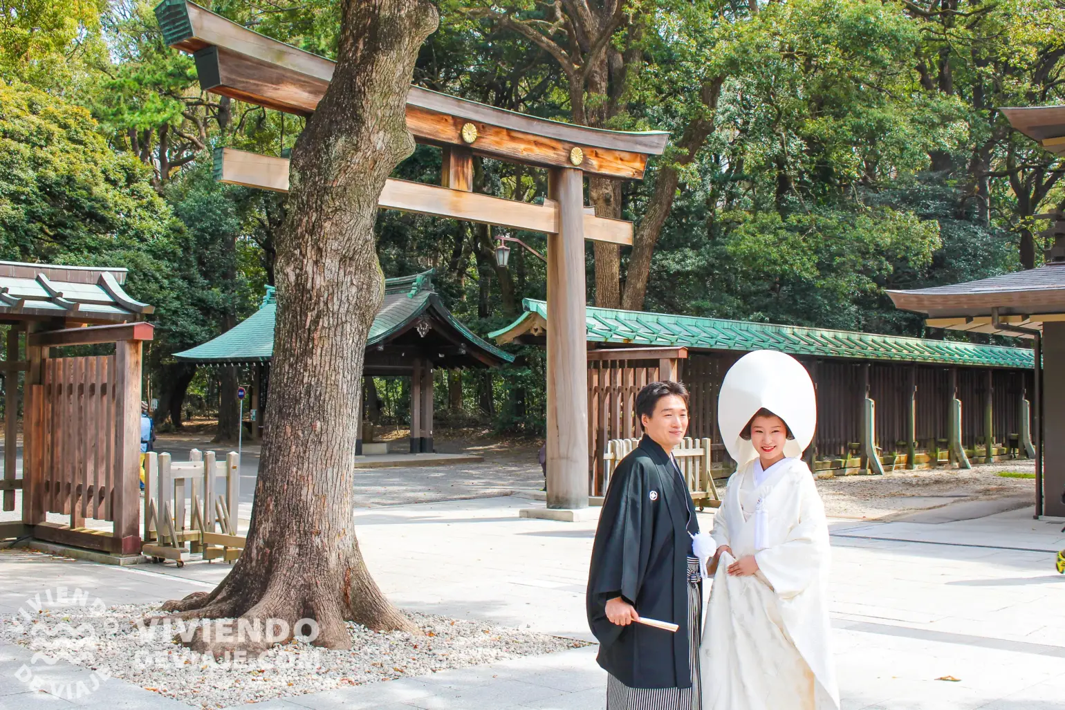 Santuario Meiji | Lugares que visitar en Tokio en 3 días