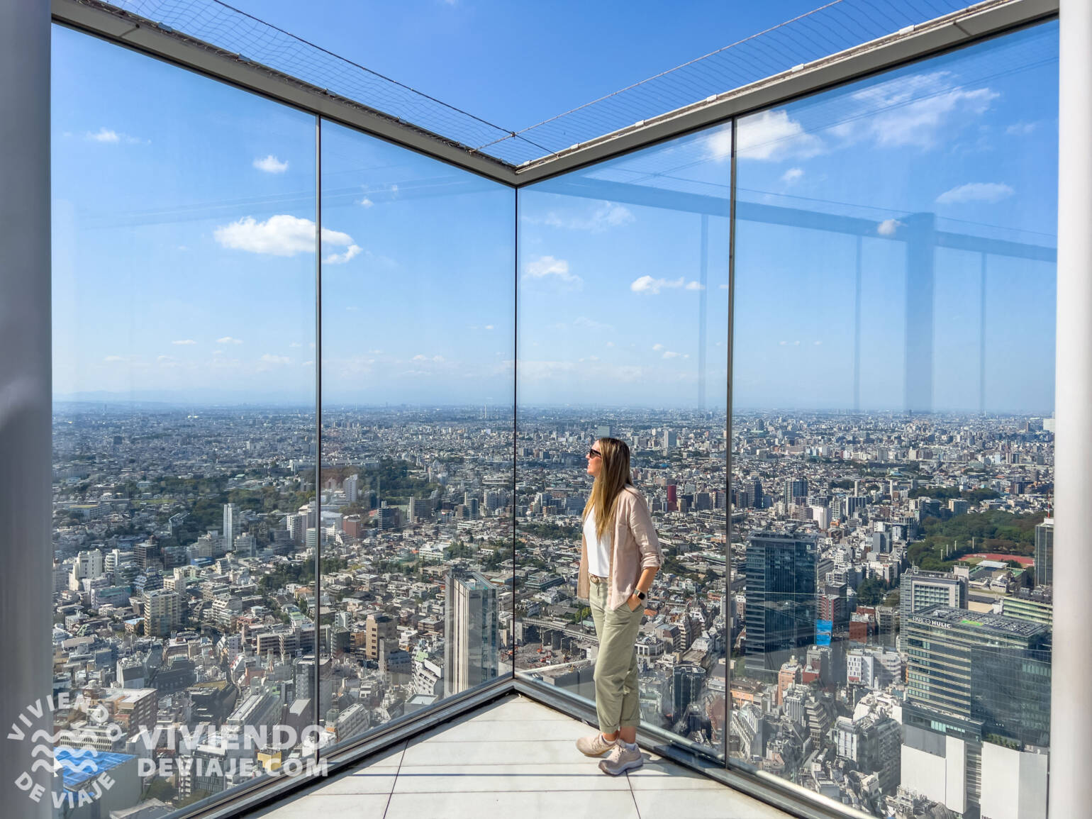 Mirador Shibuya Sky en Tokio